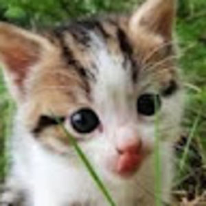 Meet your Posher, Jillian